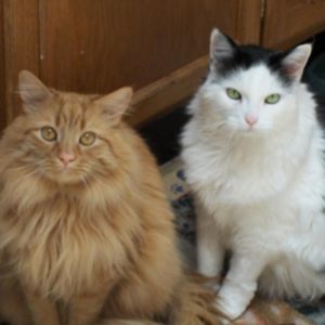 Meet your Posher, Barbara